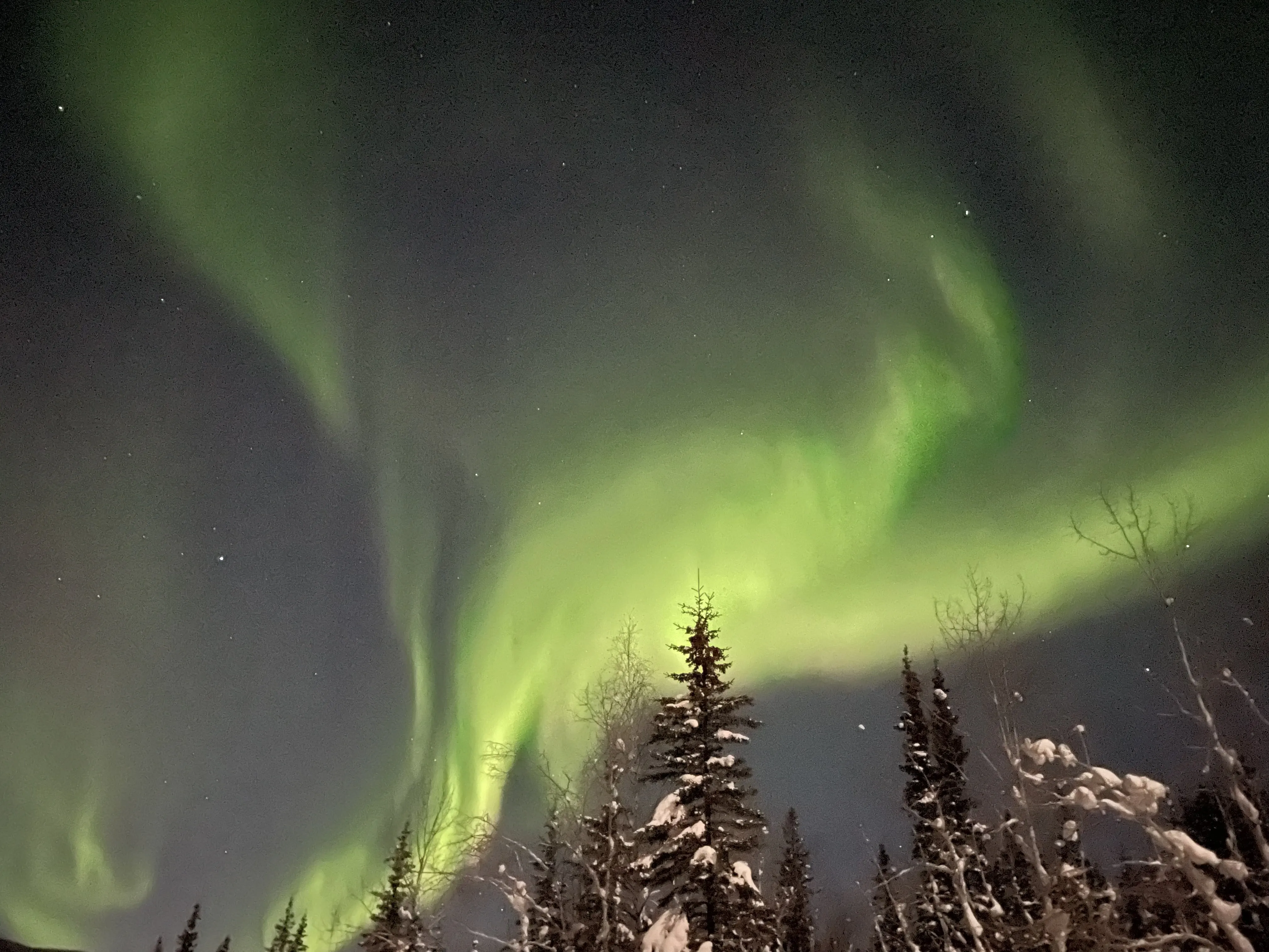 Northern lights image from the Mayo Cabin Rentals source site